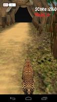 Animal Run :Cheetah 3D
