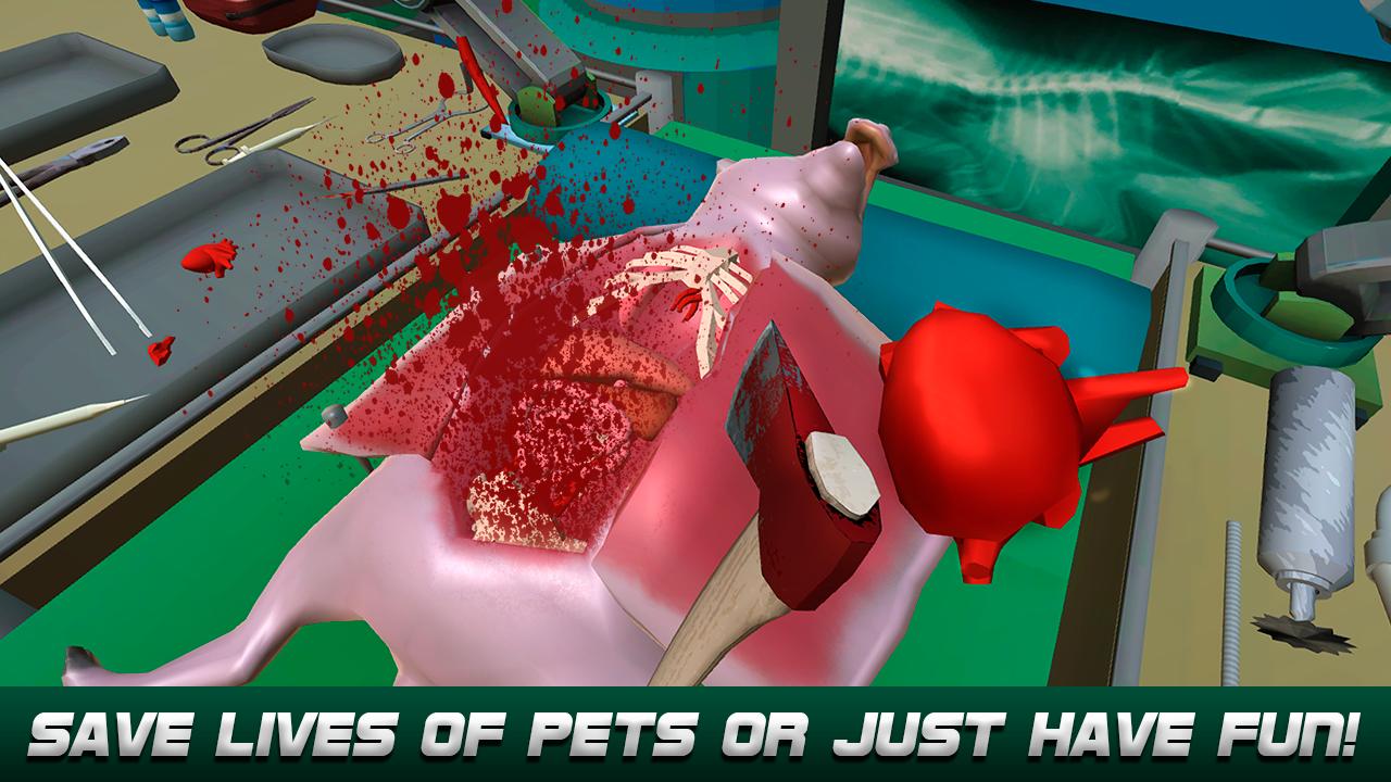 Crazy Animal Surgery Simulator