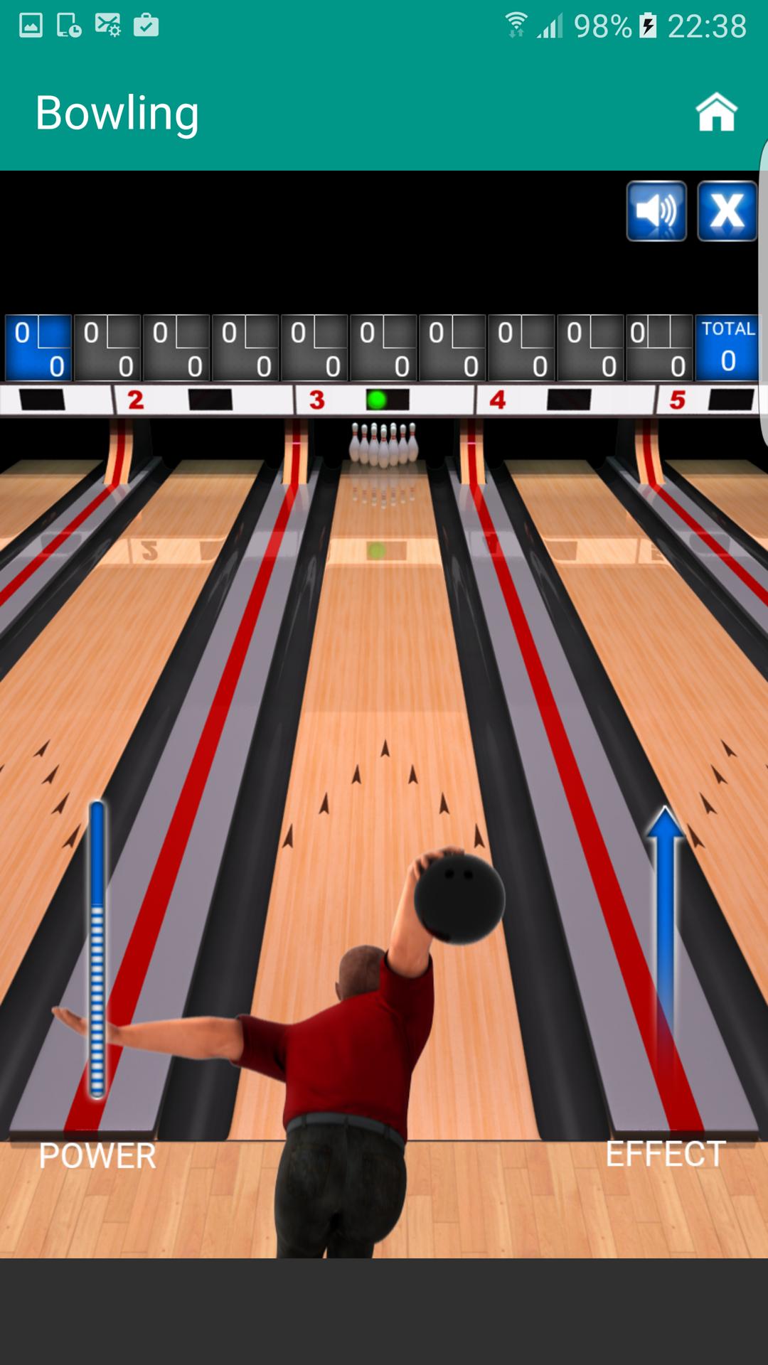 Bowling Pro Classic Game
