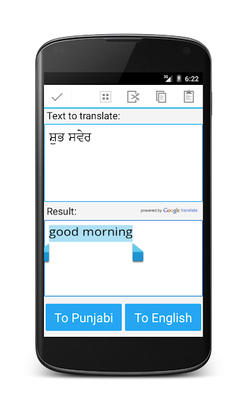 Punjabi English Translator
