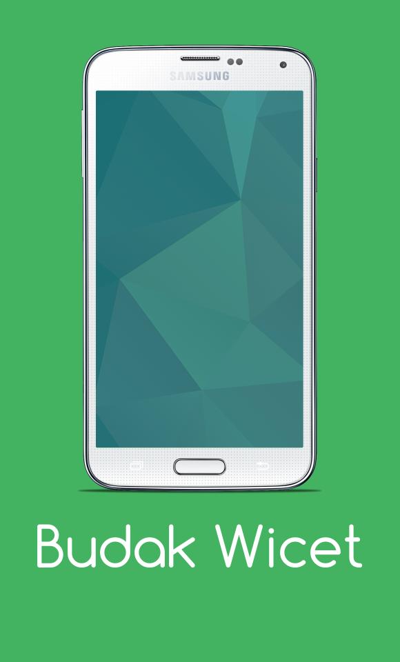 Budak Wicet