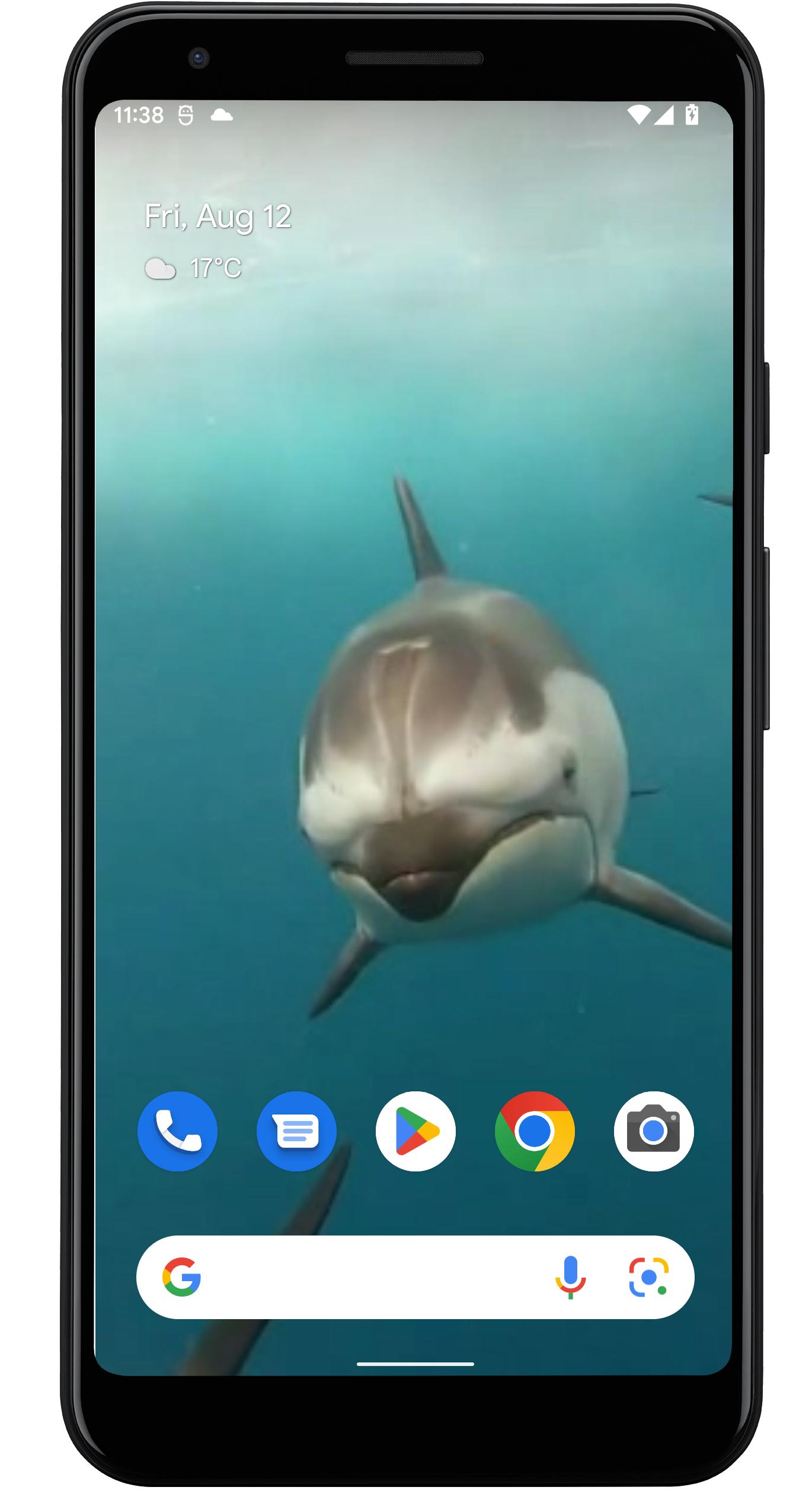 Dolphins Live Wallpaper