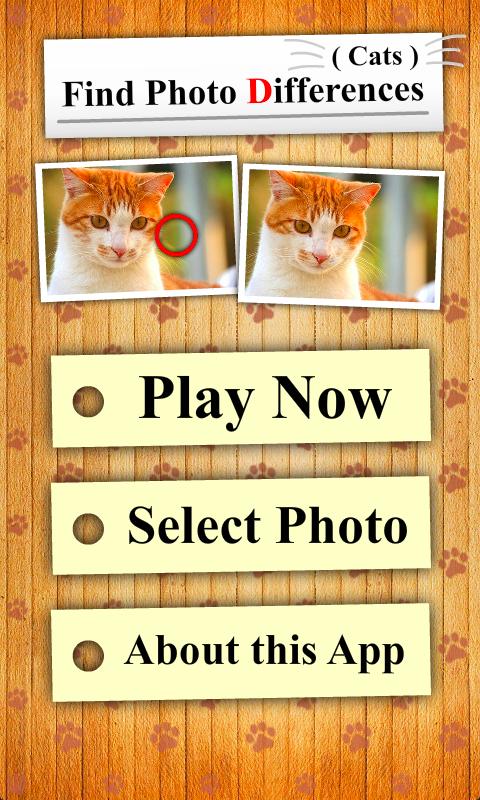 Find Photo Differences - Cats