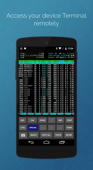 dataplicity - Terminal for Pi