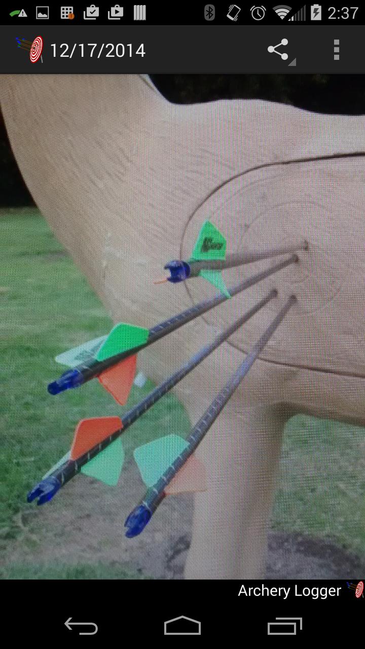 Archery Logger