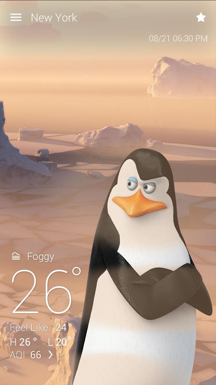 Penguins Of MG Weather Live BG