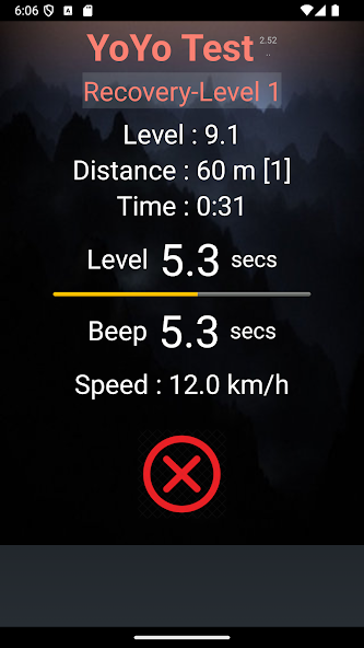 Yo-Yo Intermittent Test