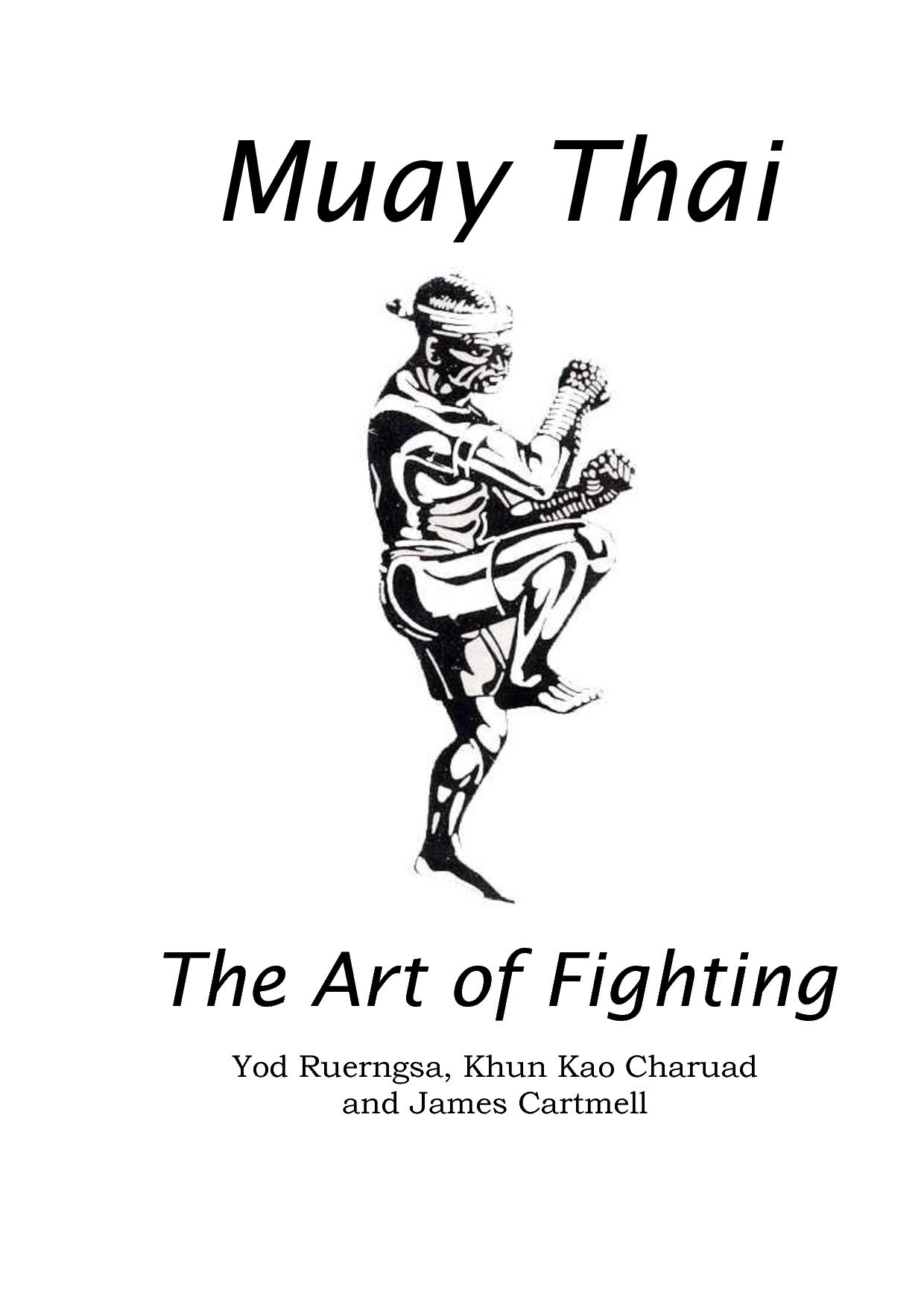 Learn Muay Thai at home