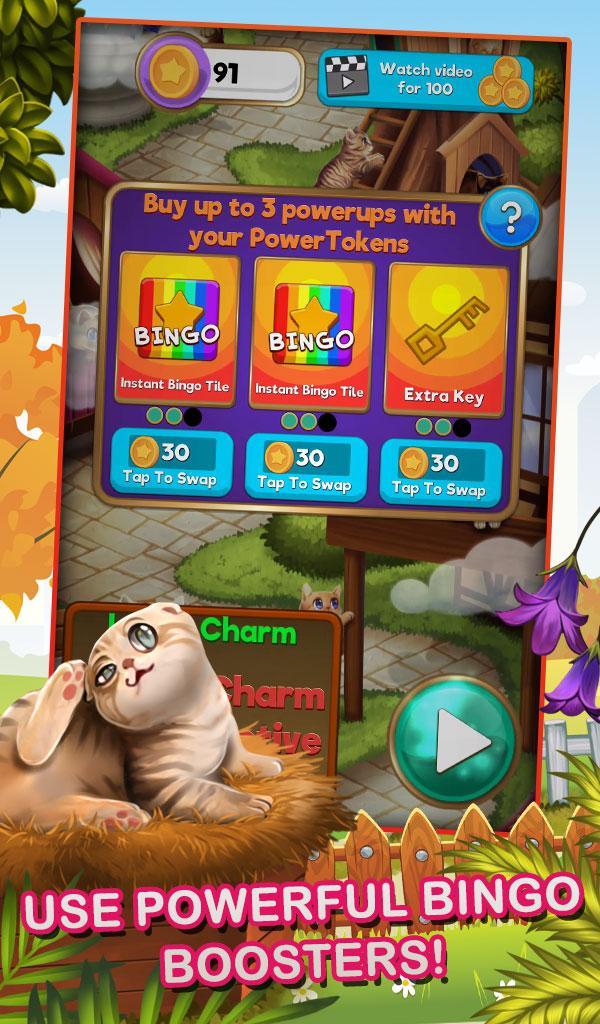Bingo Pets Mania: Cat Craze