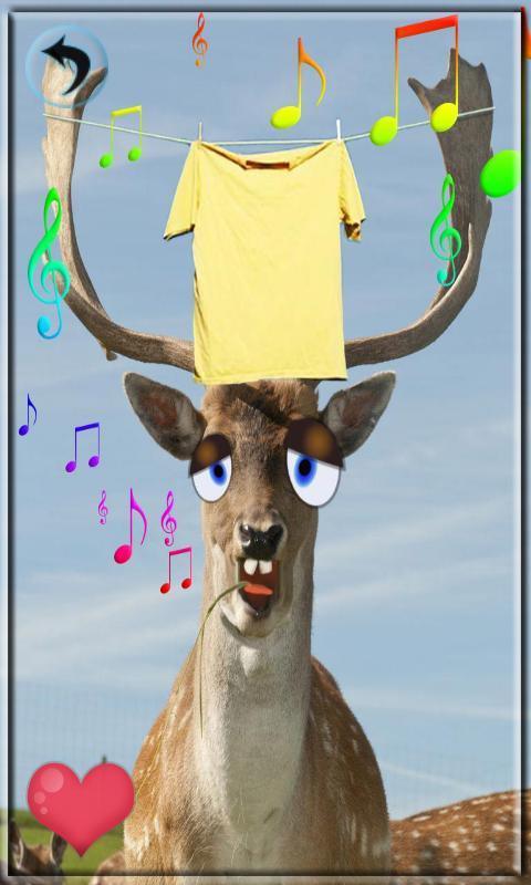 Pet Me Free game for kids