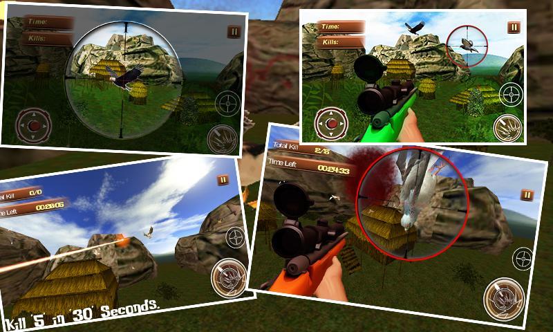 Jungle Birds Sniper Hunt