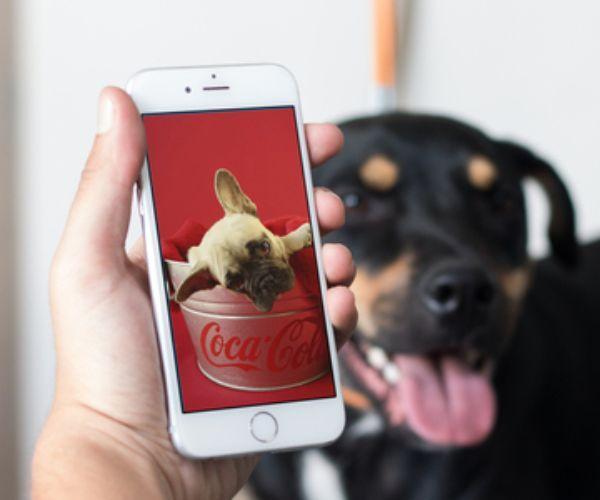 Baby Puppy Wallpaper