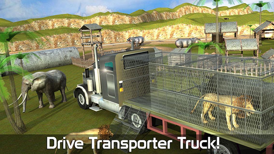 Animal Transport Cargo Plane