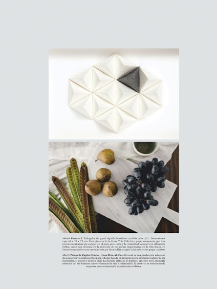 Design Hunter Mexico