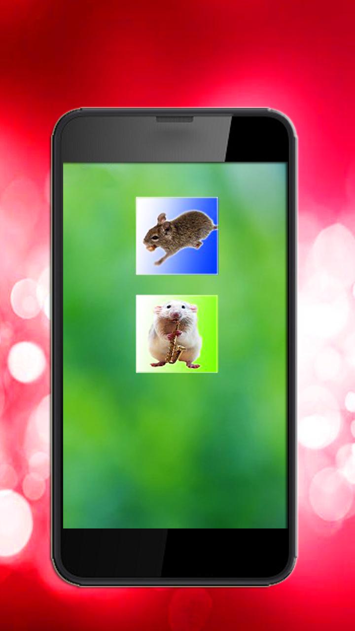 Mouse Simulator On Screen