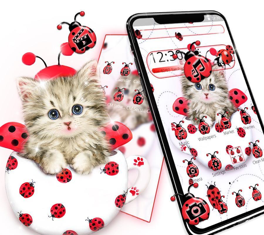 Cute Ladybird Cat Theme