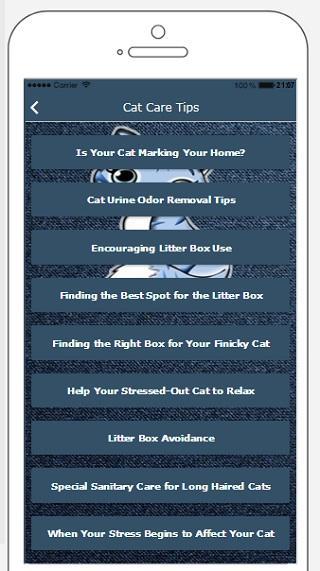 Cat Care Tips: How to take care of your cat