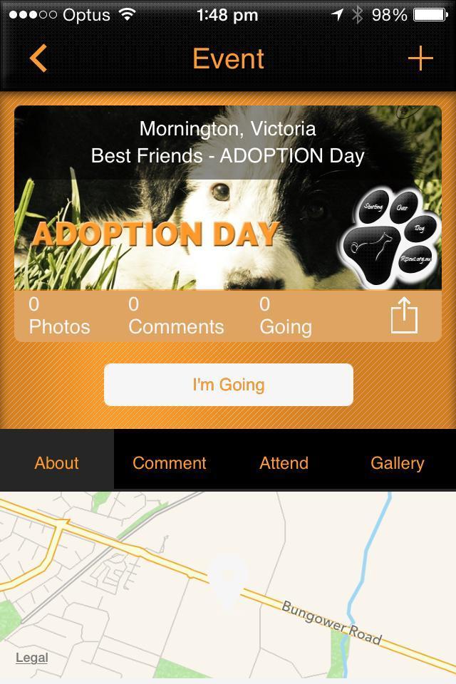 Starting Over Dog Rescue