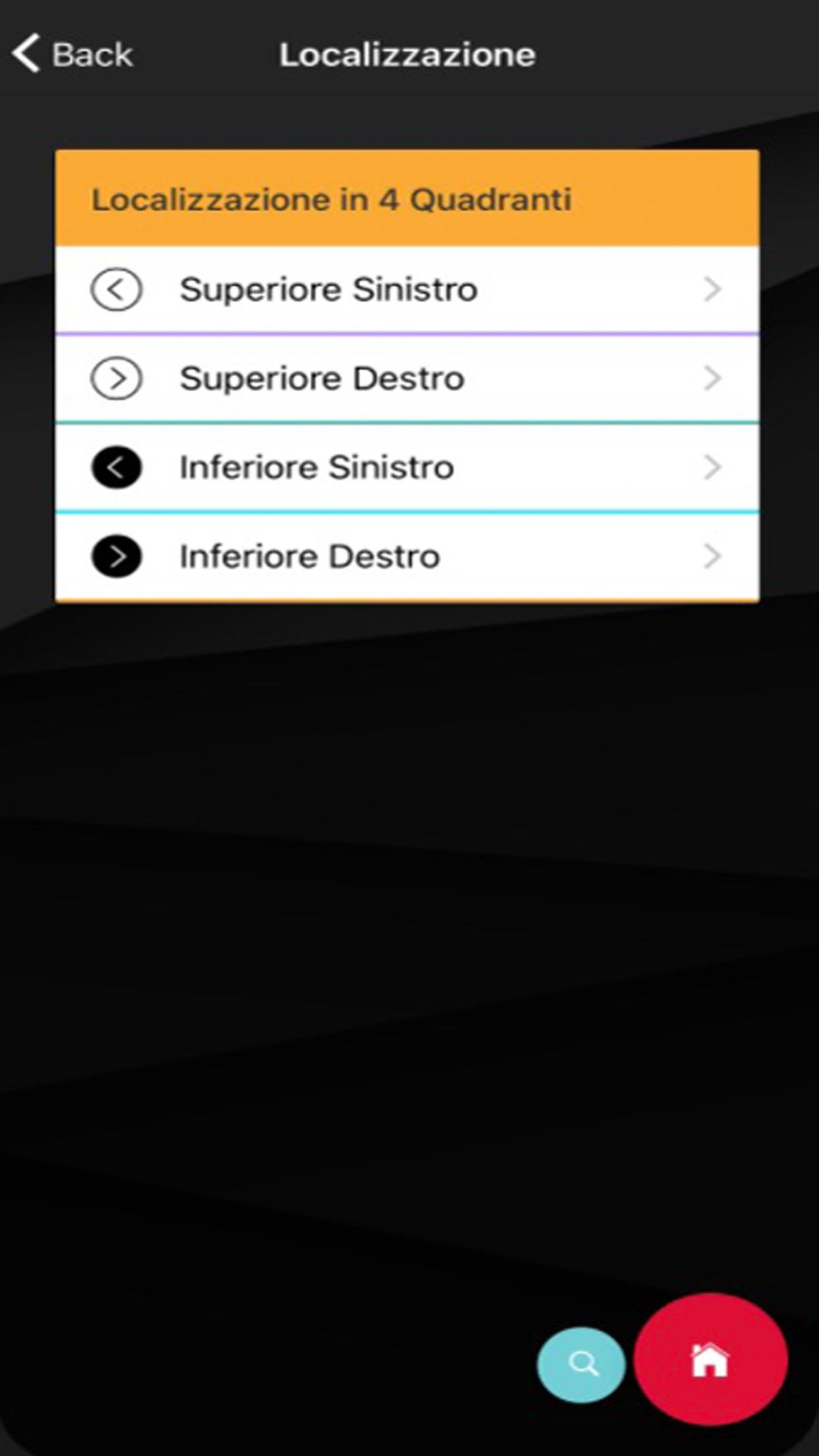 Il Dolore addominale