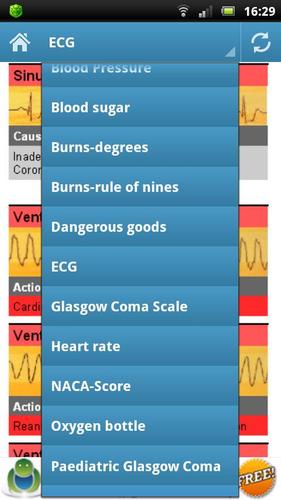 Paramedics - First Aid