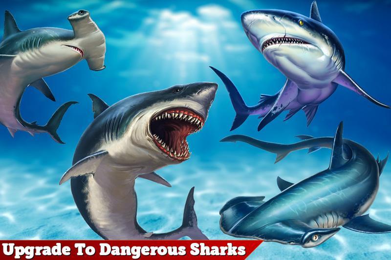 Shark Simulator 2019: Beach & Sea Attack