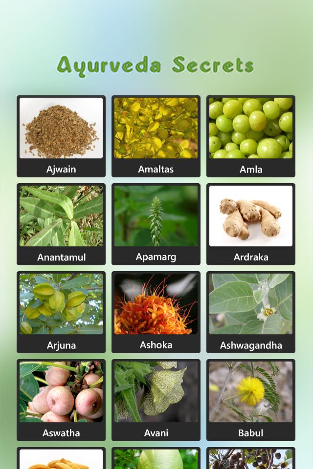 Ayurveda Secrets