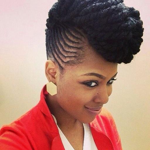 African Natural Hair Styles