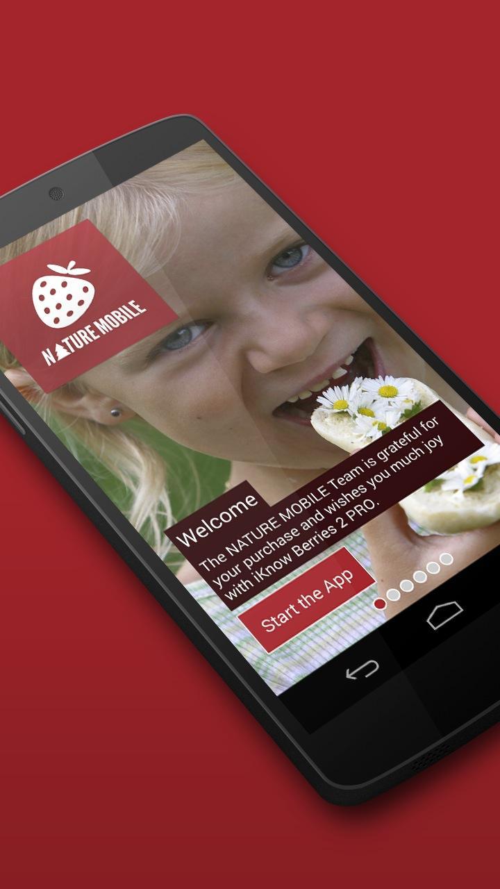 Wild Berries and Herbs 2 LITE