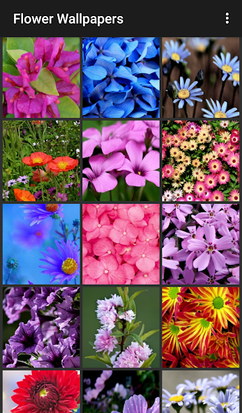Flower Wallpapers