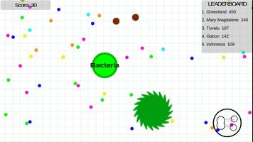 Bacteria