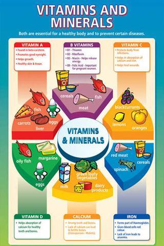 Vitamins and Minerals Guide