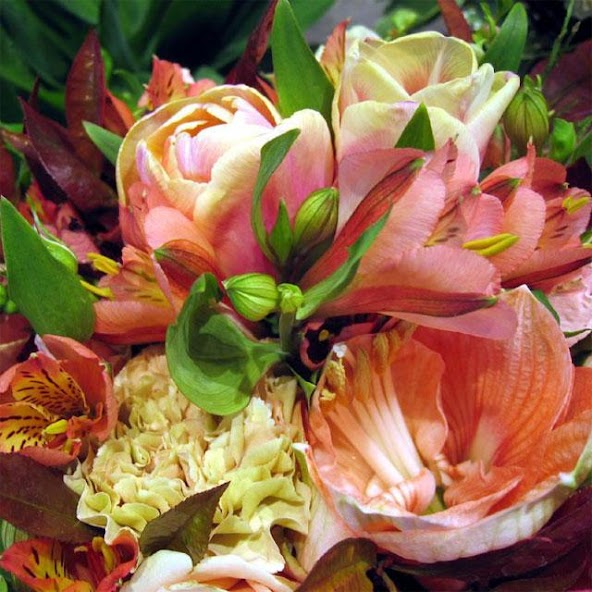 Flower Jigsaw Puzzles