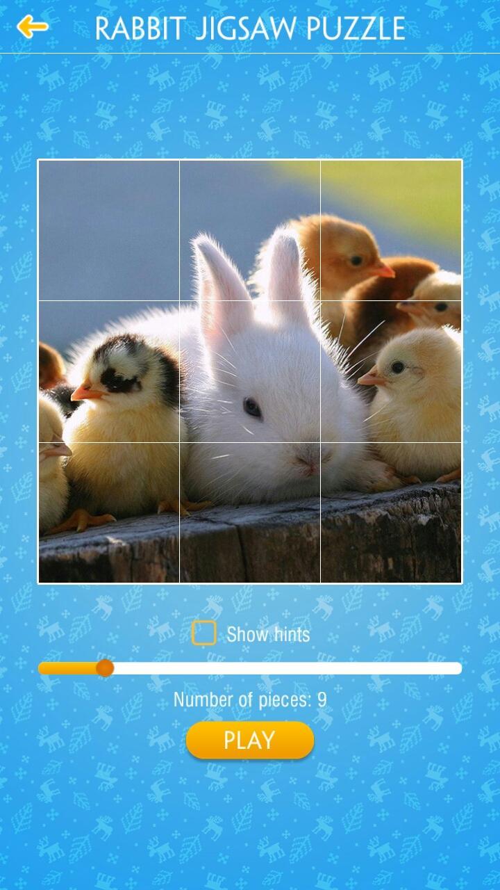 Rabbit Jigsaw Puzzle