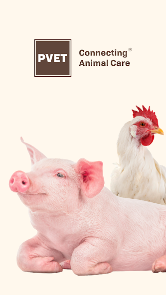 PVET Clinic