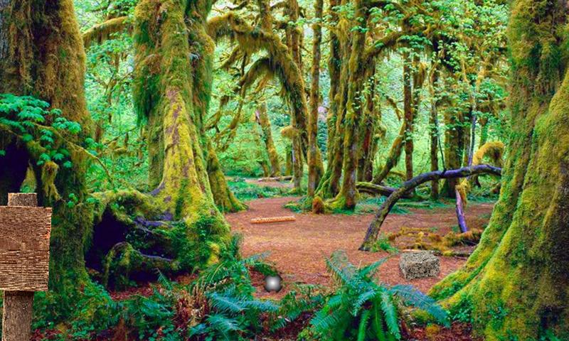 Escape From Forest Barn House