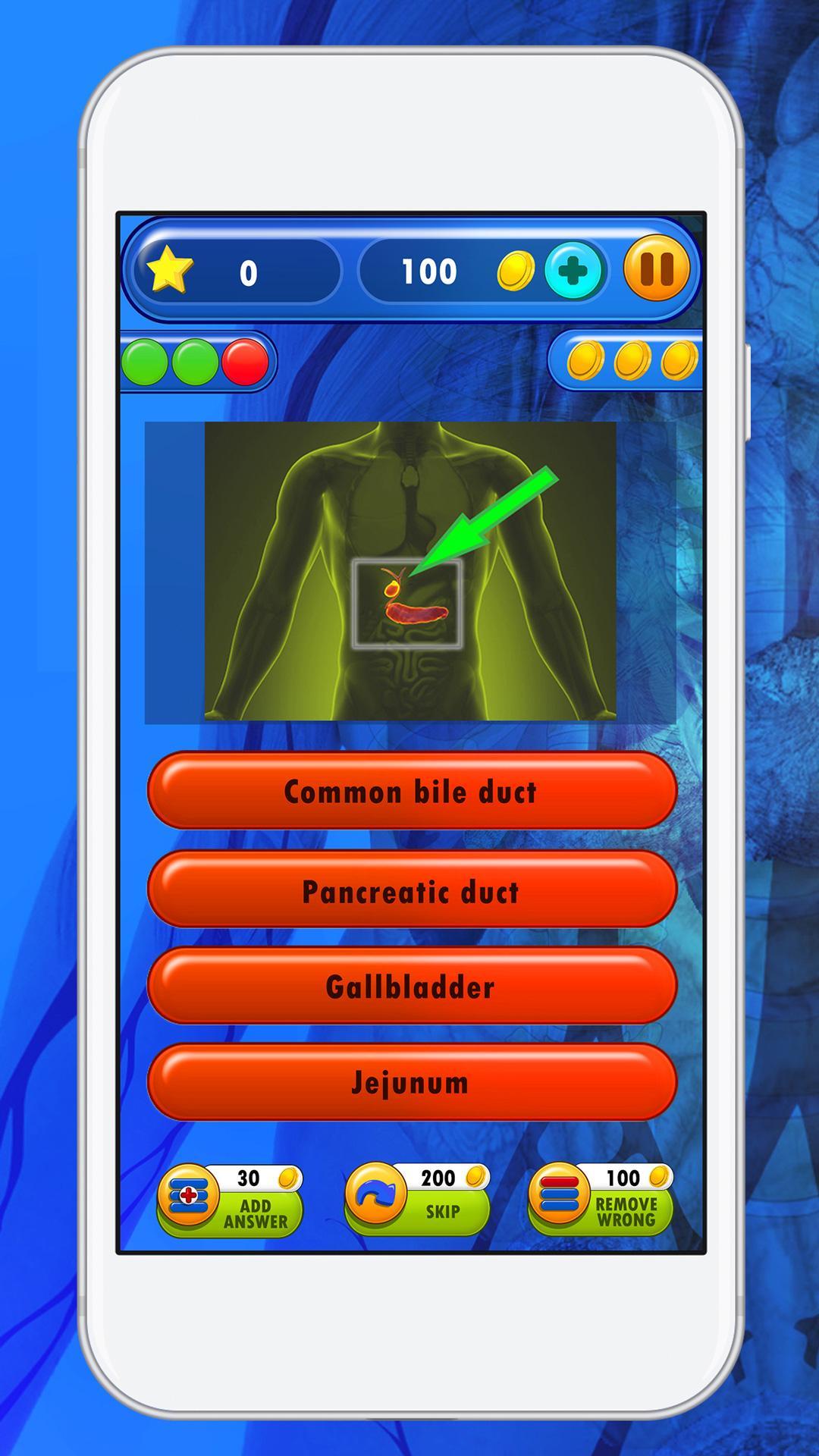 Human Body Anatomy Quiz