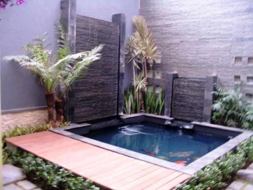 Fish Pond Design
