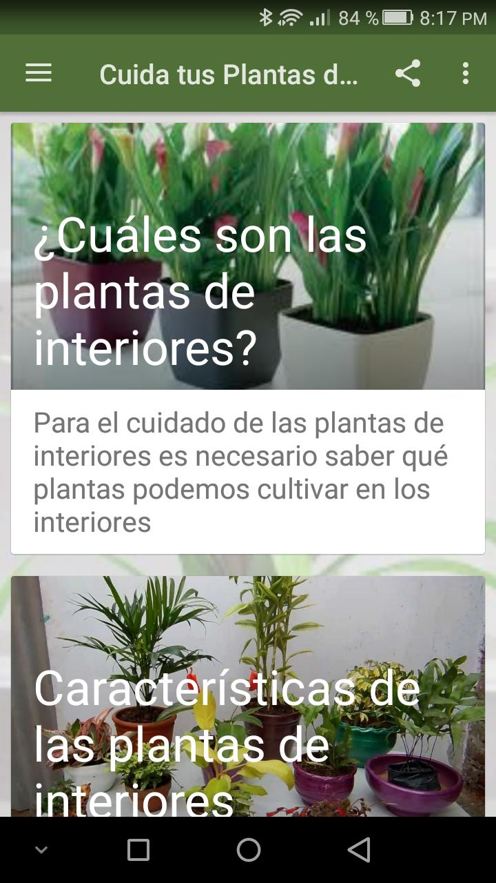Plantas de Interiores