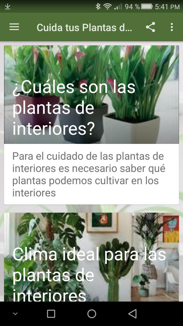 Plantas de Interiores