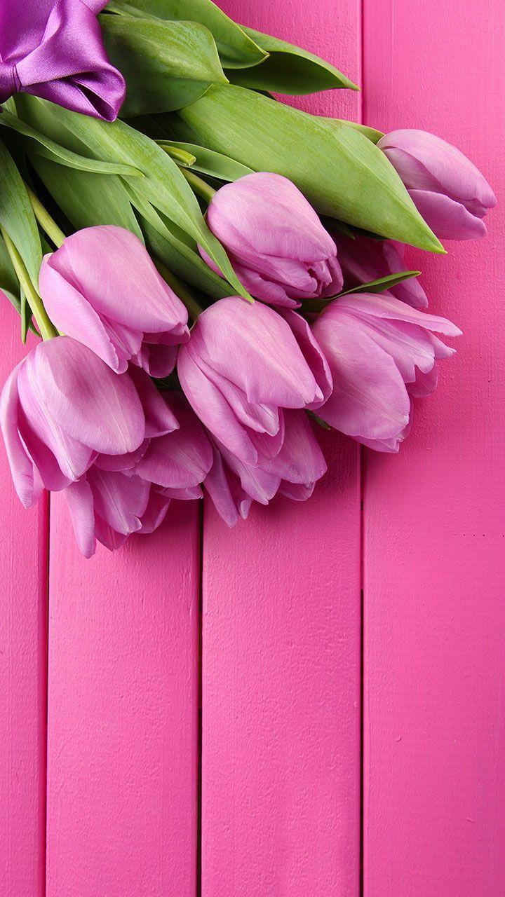 Pink Tulips Live Wallpaper