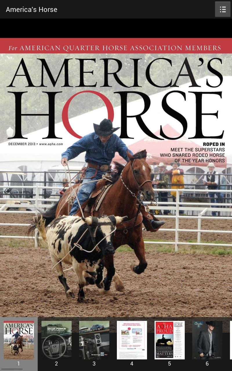 America's Horse