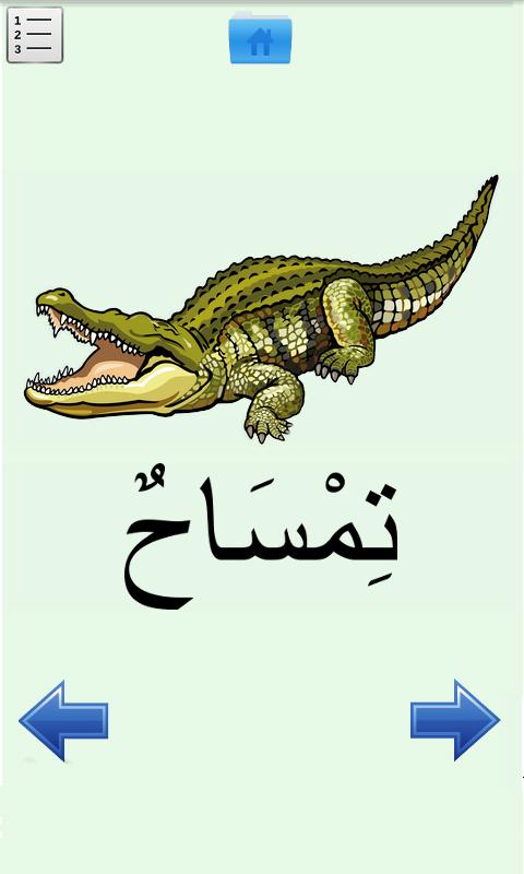 Apprendre L'arabe (essai)