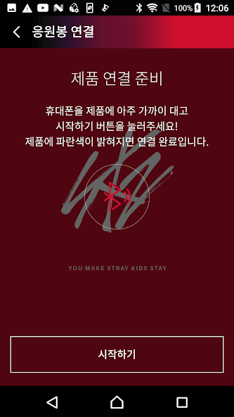 Stray Kids Light Stick