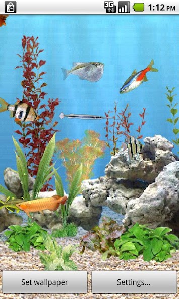 aniPet Freshwater Live WP