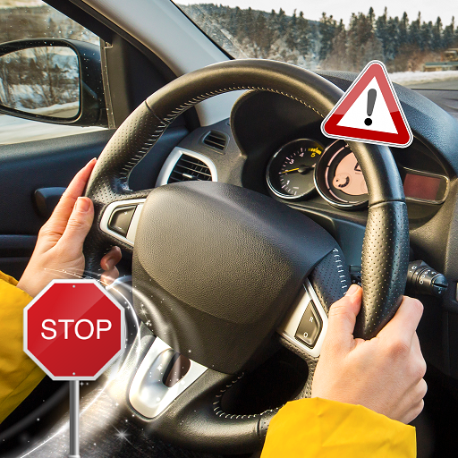 Driving Instructor