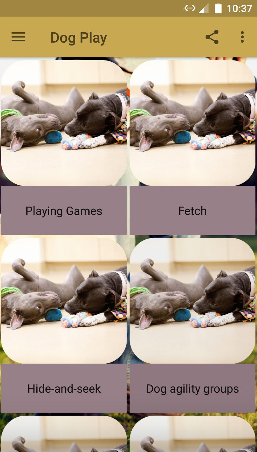 Dog Play