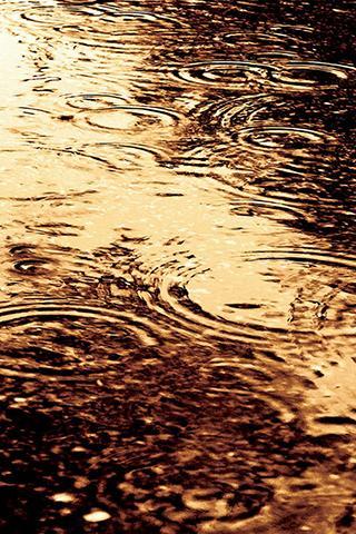 Rainy Puzzle