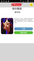 Anatomy Atlas - Chinese