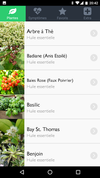 AromaGuide Huiles essentielles