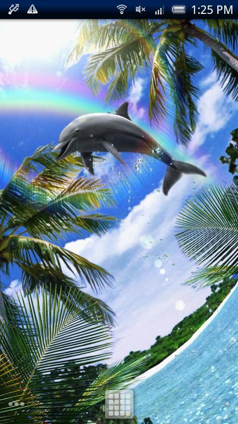Dolphin-Champion!Free